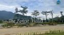 Dự án The Forest Villas