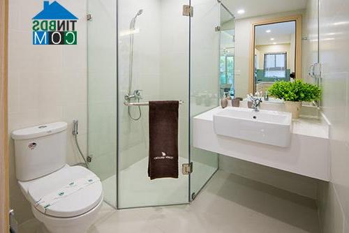 Thiết kế phòng tắm hiện đại phù hợp với không gian căn hộ nhỏ