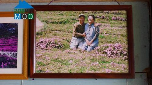 Ảnh Khu vườn tuyệt đẹp dành tặng người vợ mù của ông lão Nhật Bản