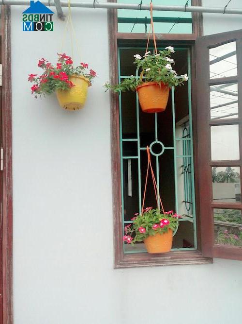 Những chậu hoa sặc sỡ được treo bên khung cửa sổ
