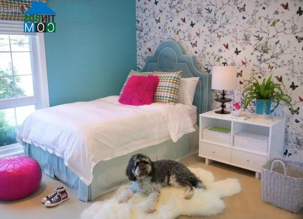 Phòng ngủ dành cho cô em gái tràn ngập ánh sáng với tone màu xanh mát mẻ