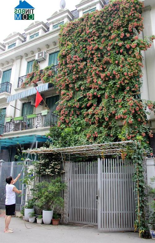 Ảnh Nhà 3 tầng phủ kín hoa nổi bật nhất phố Hà Nội