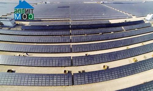 Ảnh Nhà máy tập trung năng lượng mặt trời lớn nhất thế giới tại Dubai