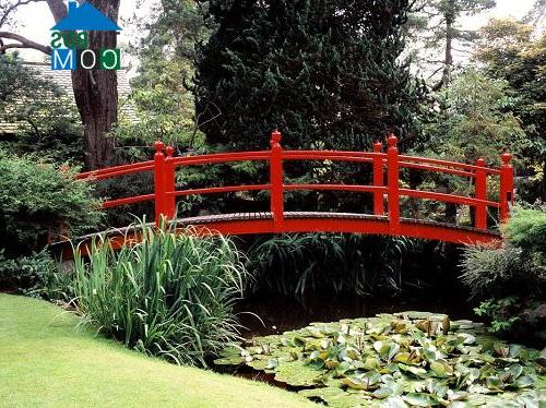 Cây cầu nhỏ nổi bật chính là điểm nhân cho không gian sân vườn