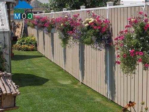 Hàng rào cũng là yếu tố ảnh hưởng rất lớn đến phong thủy của sân vườn
