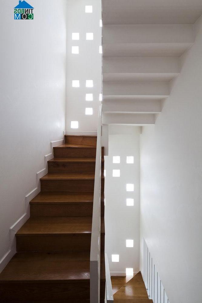 Căn nhà cũng được thiết kế nhằm tận dụng ánh sáng tự nhiên triệt để nhất