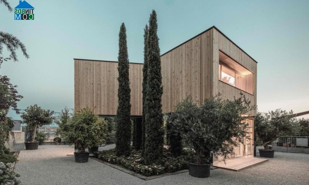 Ảnh Thiết kế văn phòng bằng gỗ thân thiện với môi trường ở Áo