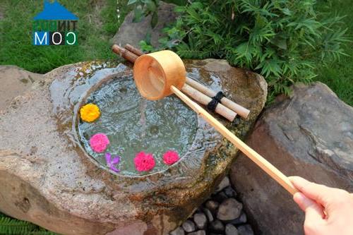 Ảnh Ngắm khu vườn phong cách Nhật trong biệt thự ở Hà Nội