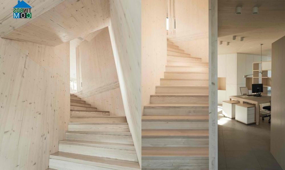 Ảnh Thiết kế văn phòng bằng gỗ thân thiện với môi trường ở Áo