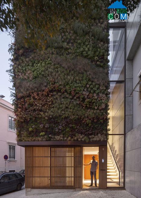Ảnh Ngôi nhà 4 tầng phủ kín cây xanh ở Tây Ban Nha