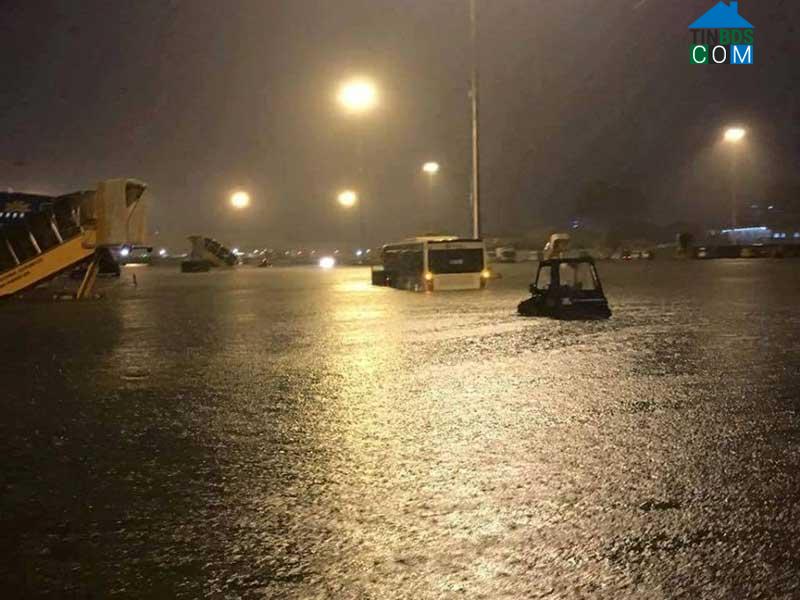 Sân bay Tân Sơn Nhất ngập nước nghiêm trọng (Ảnh: Internet)