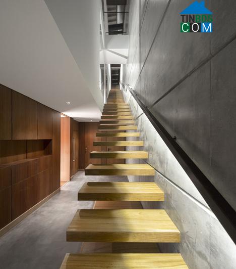 Với chiếc cầu thang thiết kế độc đáo, ngôi nhà tận dụng được tối đa nguồn ánh sáng tự nhiên