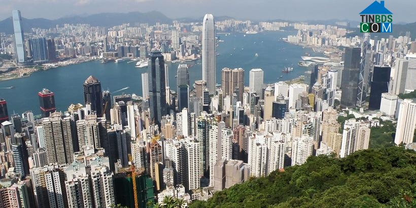Nhiều “đại gia” đã tìm được cách tránh được mức thuế BĐS khá cao ở Hong Kong (Ảnh: Exploringlife, Wikimedia Commons)