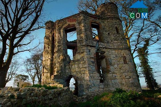 Tòa lâu đài đá vôi 200 tuổi bị bỏ hoang trước khi được cải tạo lại