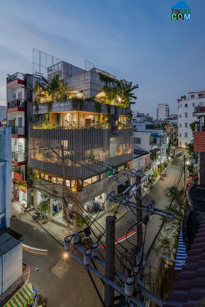 Ảnh Nhà phố Sài Gòn đẹp tựa resort 5 sao của nữ chủ nhân bận rộn