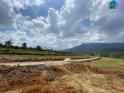 Lâm Đồng ban hành quy định mới về tách thửa đất
