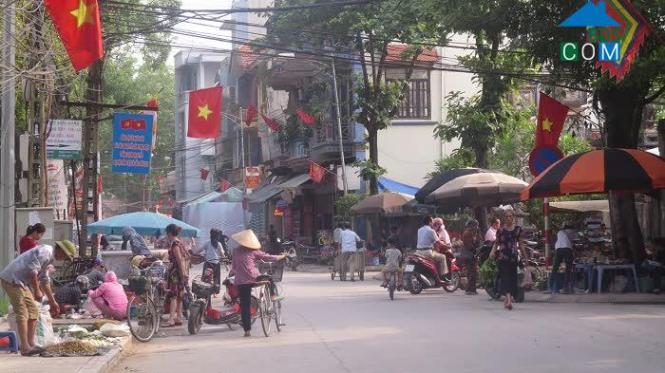 Hình ảnh ĐT 421B, Quốc Oai, Hà Nội