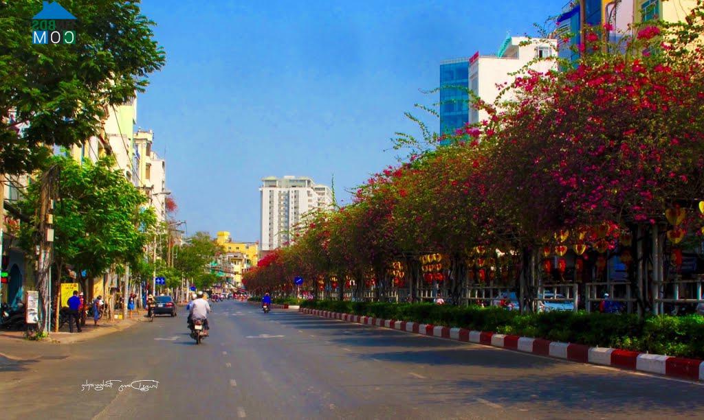 Hình ảnh 12, Quận 4, Hồ Chí Minh