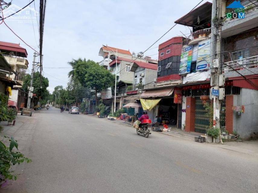 Hình ảnh Đào Cam Mộc, Đông Anh, Hà Nội