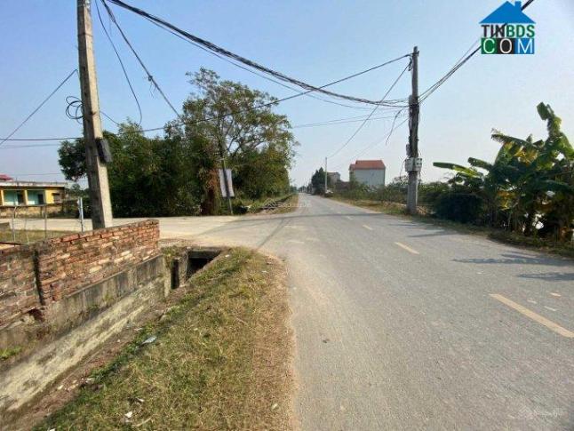 Hình ảnh Tỉnh lộ 296, Sóc Sơn, Hà Nội