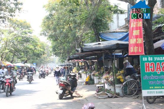 Hình ảnh Trần Phú, Quảng Ngãi, Quảng Ngãi