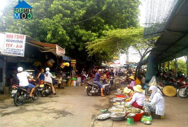 Hình ảnh Đặng Văn Ngữ, Huế, Thừa Thiên Huế