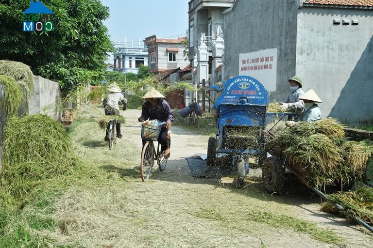 Hình ảnh Bình Định, Yên Lạc, Vĩnh Phúc