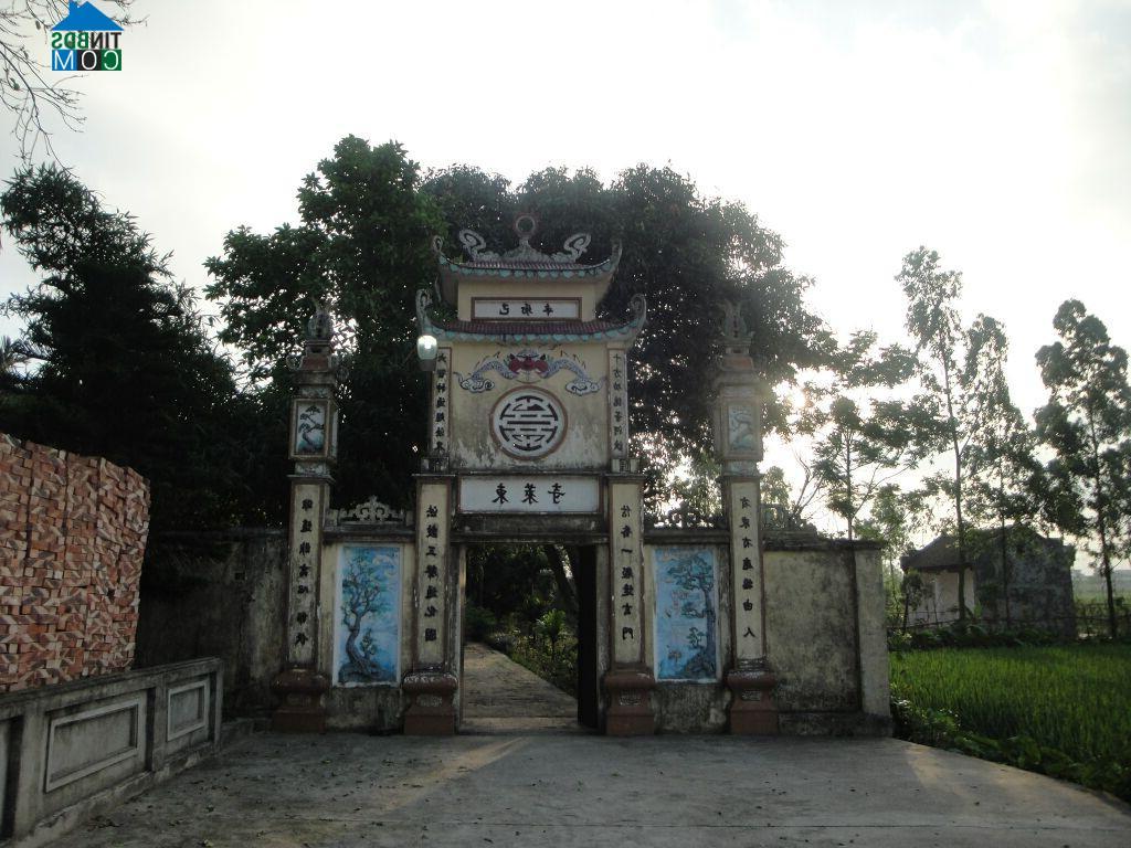 Hình ảnh Trang Hạ, Từ Sơn, Bắc Ninh