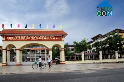 Hình ảnh Nguyễn Văn Cừ, Từ Sơn, Bắc Ninh