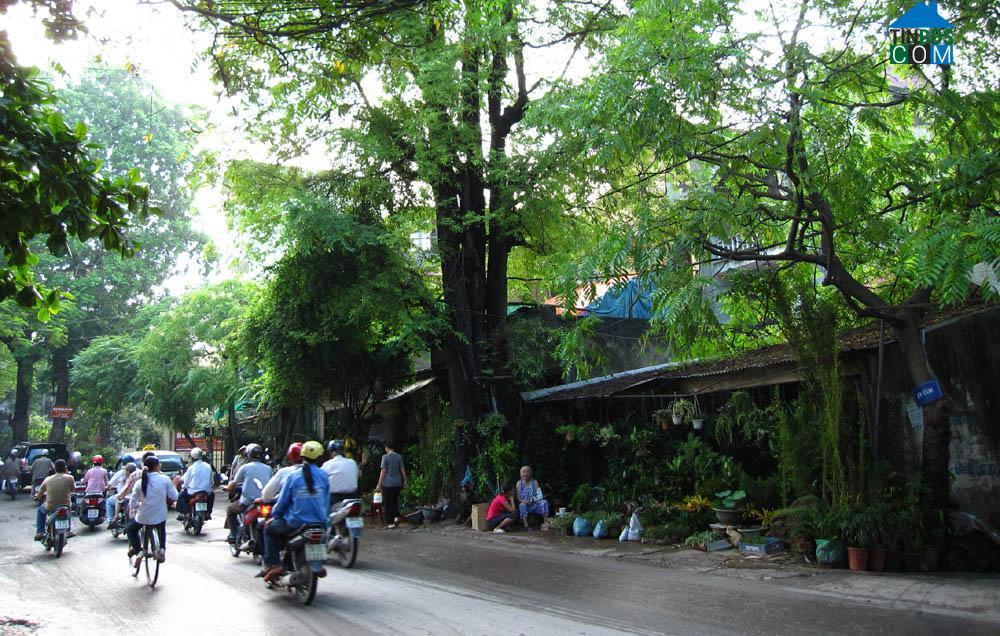 Hình ảnh Hoàng Hoa Thám, Quận 1, Hồ Chí Minh