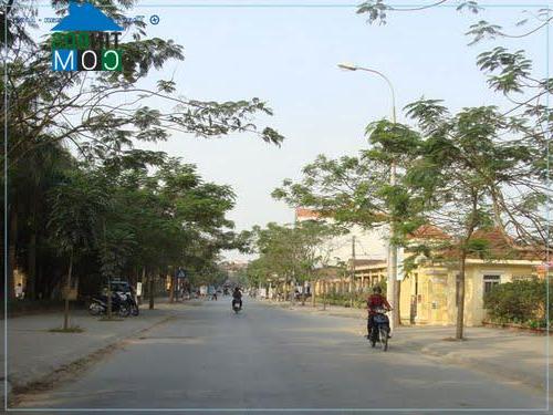 Hình ảnh Văn Giang, Văn Giang, Hưng Yên