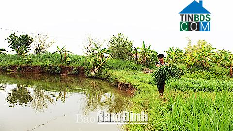 Hình ảnh Trực Đạo, Trực Ninh, Nam Định