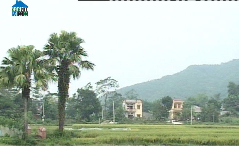Hình ảnh Hoàng Khai, Yên Sơn, Tuyên Quang