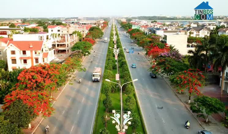 Hình ảnh Phạm Văn Đồng, Đồ Sơn, Hải Phòng