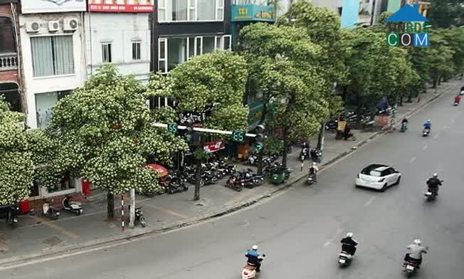 Hình ảnh Nguyễn Chí Thanh, Long Xuyên, An Giang