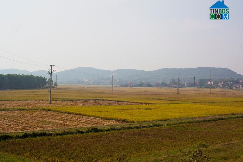 Hình ảnh Phù Lãng, Quế Võ, Bắc Ninh
