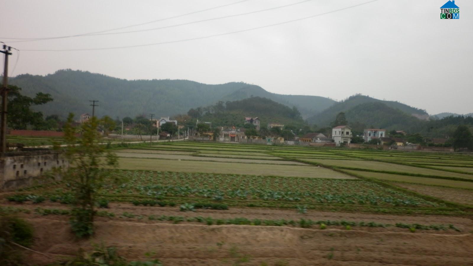 Hình ảnh Tân Liễu, Yên Dũng, Bắc Giang