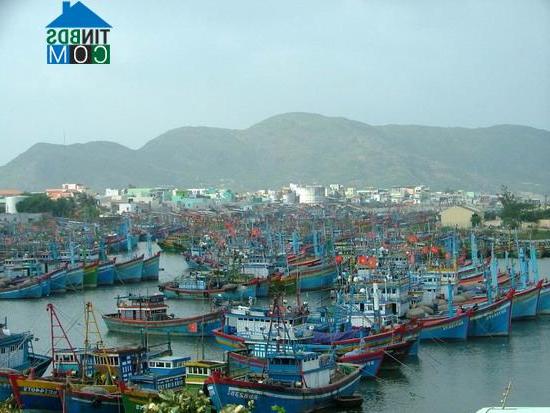 Hình ảnh Hải Cảng, Quy Nhơn, Bình Định