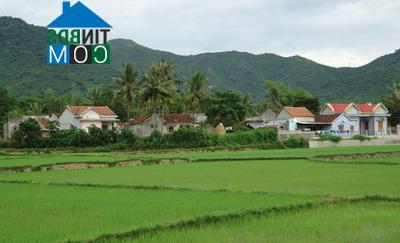 Hình ảnh Vĩnh Quang, Vĩnh Thạnh, Bình Định