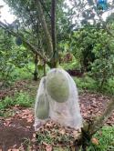 Chính chủ cần cho thuê nhà nguyên căn giá hấp dẫn ngay trung tâm TP. Phan TP.8016878