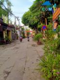 Bàn và cho thuê chung cư đẹp giá mềm