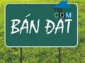 Cần bán biệt thự song lập Mỹ Hào - Phú Mỹ Hưng (chính chủ) - 10 * 20m, giá 18 tỷ, giá 18 tỷ