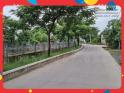 Cho thuê căn hộ Phú Hoàng Anh 3phòng 129m2 full nội thất 750$/tháng. LH: 0905851609