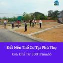 Chí Công Chuyên Đất Nền Giá Rẻ Thanh Hoá Phú Thọ 250 Triệu/lô