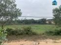 Bán nhanh  lô đất RSX tại Thanh Vân, Tam Dương Diện tích : 1.25ha ( 60x200), giá cắt lỗ, sổ hồng