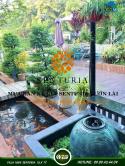 Ra Nhanh Biệt Thự Mini KDC Senturia Vườn Lài Giá 15,X Tỷ - Đt: 0909434409