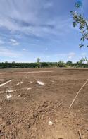 Chủ kẹt tiền cắt lỗ 200tr bán gấp lô đất ở Đồng Phú gần Khu Công Nghiệp