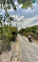 Cần bán gấp mảnh vườn 1500mét vuông tại Đồng Phú