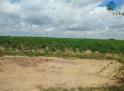 Cần bán gấp đất tổng diện tích 1,6 mẫu đất tại huyện La Pa, tỉnh Gia Lai