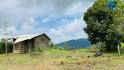 Cắt Lỗ Mảnh Đất Đẹp Nhất Huyện Cô Tô, Giá Rẻ Bất Ngờ Thích Hợp Kinh Doanh Nhà Hàng